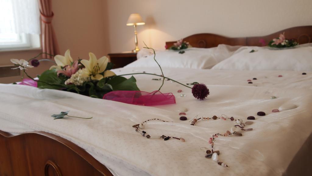 Pension Habermannova Vila Bludov  Δωμάτιο φωτογραφία