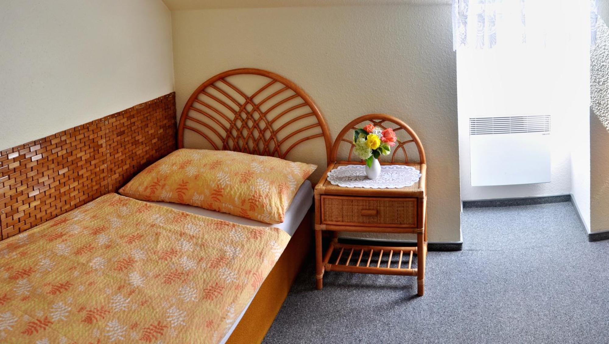 Pension Habermannova Vila Bludov  Δωμάτιο φωτογραφία